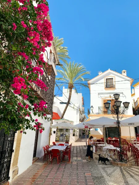 Marbella Explorer